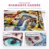 Diamond painting personnalisé à partir d'une photo